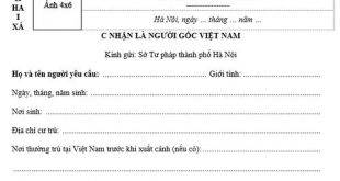 Thủ tục cấp giấy xác nhận là người gốc Việt Nam