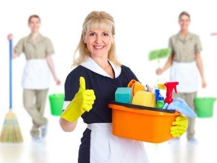 Hoạt động dịch vụ vệ sinh nhà cửa, công trình và cảnh quan